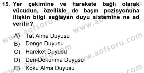 Davranış Bilimlerine Giriş Dersi 2023 - 2024 Yılı Yaz Okulu Sınav Soruları 15. Soru