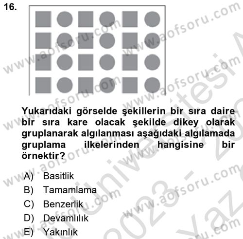 Davranış Bilimlerine Giriş Dersi Yaz Okulu Sınavı Deneme Sınav Soruları 16. Soru