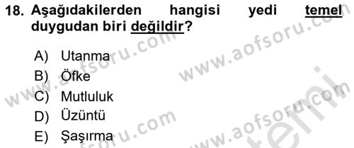 Davranış Bilimlerine Giriş Dersi 2023 - 2024 Yılı Yaz Okulu Sınav Soruları 18. Soru