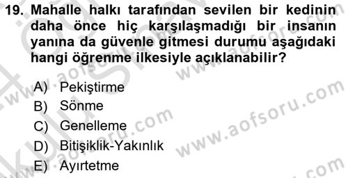 Davranış Bilimlerine Giriş Dersi 2023 - 2024 Yılı Yaz Okulu Sınav Soruları 19. Soru