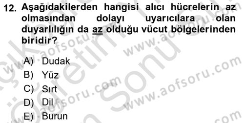 Davranış Bilimlerine Giriş Dersi 2024 - 2025 Yılı (Final) Dönem Sonu Sınav Soruları 12. Soru