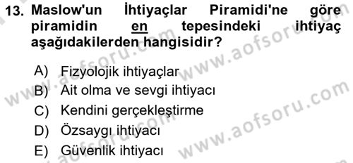 Davranış Bilimlerine Giriş Dersi 2024 - 2025 Yılı (Final) Dönem Sonu Sınav Soruları 13. Soru