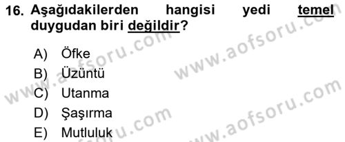 Davranış Bilimlerine Giriş Dersi 2024 - 2025 Yılı (Final) Dönem Sonu Sınav Soruları 16. Soru