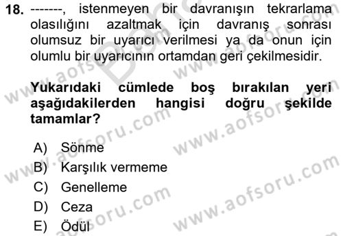 Davranış Bilimlerine Giriş Dersi 2024 - 2025 Yılı (Final) Dönem Sonu Sınav Soruları 18. Soru