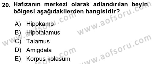 Davranış Bilimlerine Giriş Dersi 2024 - 2025 Yılı (Final) Dönem Sonu Sınav Soruları 20. Soru