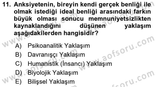 Davranış Bilimlerine Giriş Dersi 2024 - 2025 Yılı Yaz Okulu Sınav Soruları 11. Soru