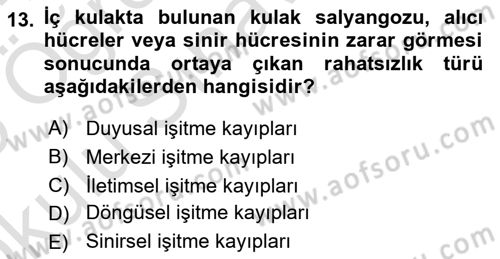 Davranış Bilimlerine Giriş Dersi 2024 - 2025 Yılı Yaz Okulu Sınav Soruları 13. Soru