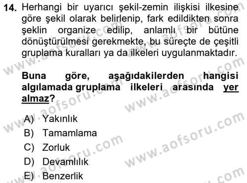 Davranış Bilimlerine Giriş Dersi 2024 - 2025 Yılı Yaz Okulu Sınav Soruları 14. Soru