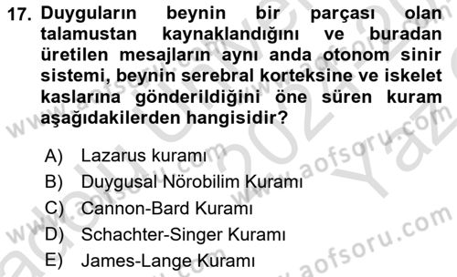 Davranış Bilimlerine Giriş Dersi 2024 - 2025 Yılı Yaz Okulu Sınav Soruları 17. Soru