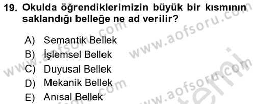 Davranış Bilimlerine Giriş Dersi 2024 - 2025 Yılı Yaz Okulu Sınav Soruları 19. Soru