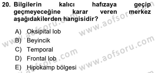 Davranış Bilimlerine Giriş Dersi 2024 - 2025 Yılı Yaz Okulu Sınav Soruları 20. Soru