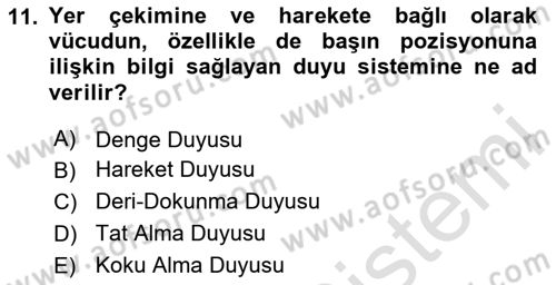 Davranış Bilimlerine Giriş Dersi 2025 - 2026 Yılı (Final) Dönem Sonu Sınav Soruları 11. Soru