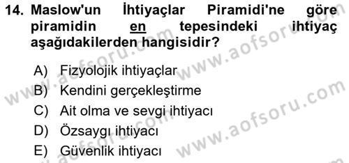 Davranış Bilimlerine Giriş Dersi 2025 - 2026 Yılı (Final) Dönem Sonu Sınav Soruları 14. Soru