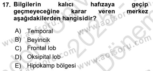 Davranış Bilimlerine Giriş Dersi 2025 - 2026 Yılı (Final) Dönem Sonu Sınav Soruları 17. Soru