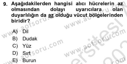 Davranış Bilimlerine Giriş Dersi 2025 - 2026 Yılı (Final) Dönem Sonu Sınav Soruları 9. Soru