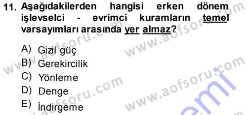 Toplumsal Değişme Kuramları Dersi 2013 - 2014 Yılı (Vize) Ara Sınavı 11. Soru