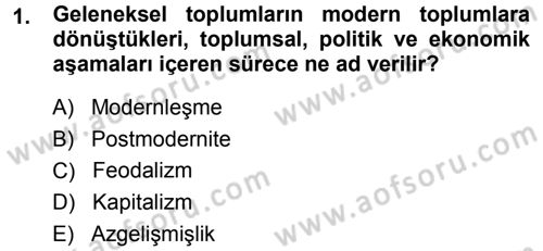 Toplumsal Değişme Kuramları Dersi 2013 - 2014 Yılı (Final) Dönem Sonu Sınav Soruları 1. Soru