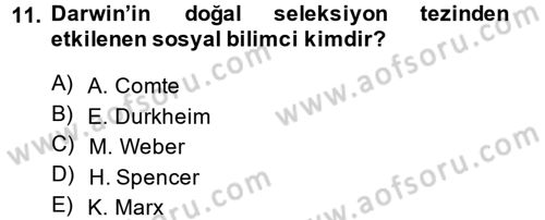 Toplumsal Değişme Kuramları Dersi Ara Sınavı Deneme Sınav Soruları 11. Soru