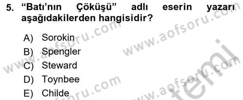 Toplumsal Değişme Kuramları Dersi 2018 - 2019 Yılı Yaz Okulu Sınav Soruları 5. Soru