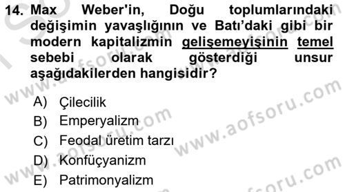 Toplumsal Değişme Kuramları Dersi 2019 - 2020 Yılı (Final) Dönem Sonu Sınav Soruları 14. Soru