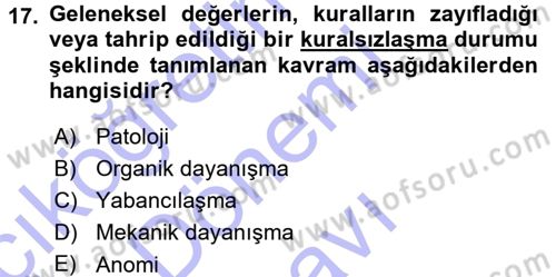 Siyaset Sosyolojisi Dersi 2015 - 2016 Yılı (Final) Dönem Sonu Sınav Soruları 17. Soru