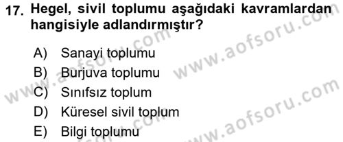 Siyaset Sosyolojisi Dersi Ara Sınavı Deneme Sınav Soruları 17. Soru