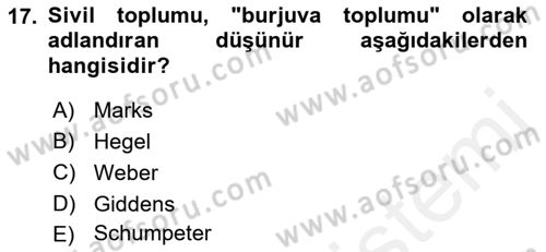 Siyaset Sosyolojisi Dersi 2018 - 2019 Yılı (Vize) Ara Sınavı 17. Soru