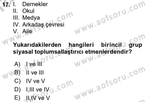 Siyaset Sosyolojisi Dersi 2018 - 2019 Yılı Yaz Okulu Sınav Soruları 17. Soru