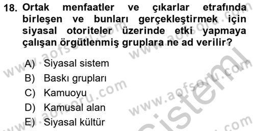 Siyaset Sosyolojisi Dersi 2018 - 2019 Yılı Yaz Okulu Sınav Soruları 18. Soru