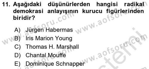 Siyaset Sosyolojisi Dersi 2020 - 2021 Yılı Yaz Okulu Sınav Soruları 11. Soru