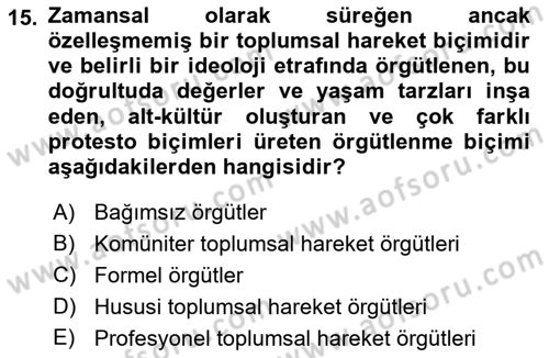 Siyaset Sosyolojisi Dersi 2021 - 2022 Yılı Yaz Okulu Sınavı 15. Soru