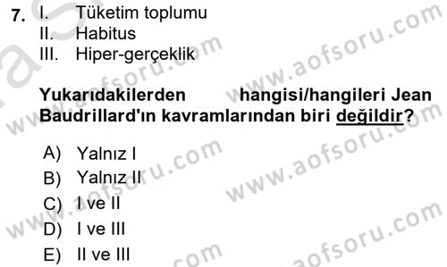 Siyaset Sosyolojisi Dersi 2022 - 2023 Yılı (Vize) Ara Sınav Soruları 7. Soru