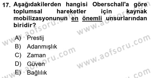 Siyaset Sosyolojisi Dersi 2022 - 2023 Yılı Yaz Okulu Sınavı 17. Soru