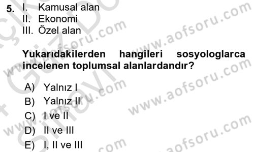 Siyaset Sosyolojisi Dersi 2023 - 2024 Yılı (Vize) Ara Sınav Soruları 5. Soru