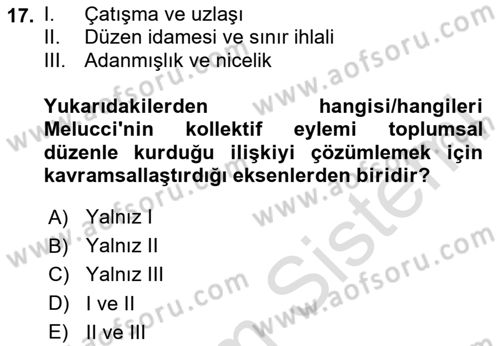 Siyaset Sosyolojisi Dersi 2023 - 2024 Yılı Yaz Okulu Sınav Soruları 17. Soru