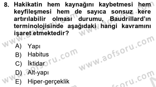 Siyaset Sosyolojisi Dersi 2024 - 2025 Yılı (Vize) Ara Sınav Soruları 8. Soru