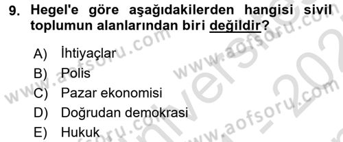 Siyaset Sosyolojisi Dersi 2024 - 2025 Yılı (Final) Dönem Sonu Sınav Soruları 9. Soru