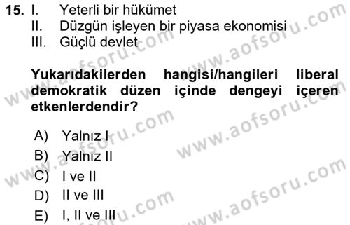 Siyaset Sosyolojisi Dersi 2024 - 2025 Yılı Yaz Okulu Sınav Soruları 15. Soru