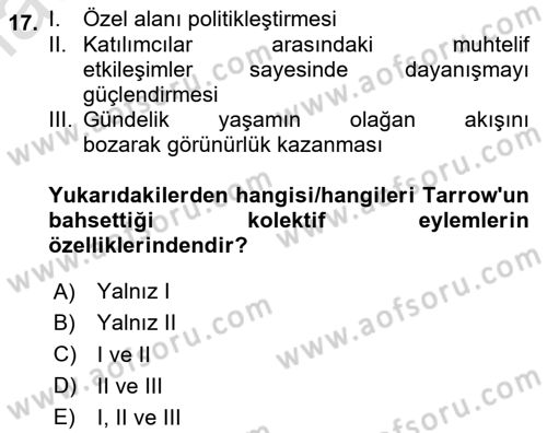 Siyaset Sosyolojisi Dersi 2024 - 2025 Yılı Yaz Okulu Sınav Soruları 17. Soru