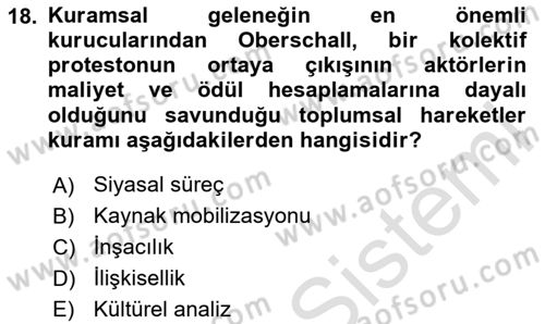 Siyaset Sosyolojisi Dersi 2024 - 2025 Yılı Yaz Okulu Sınav Soruları 18. Soru