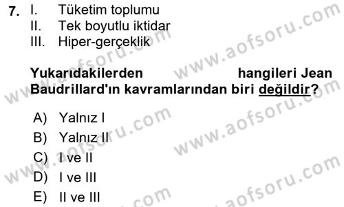 Siyaset Sosyolojisi Dersi 2025 - 2026 Yılı (Vize) Ara Sınav Soruları 7. Soru