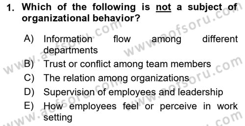 Organizational Behavior Dersi 2018 - 2019 Yılı (Vize) Ara Sınav Soruları 1. Soru