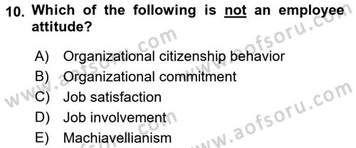 Organizational Behavior Dersi 2018 - 2019 Yılı (Vize) Ara Sınav Soruları 10. Soru