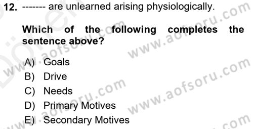 Organizational Behavior Dersi 2018 - 2019 Yılı (Vize) Ara Sınav Soruları 12. Soru