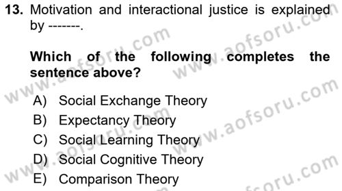 Organizational Behavior Dersi 2018 - 2019 Yılı (Vize) Ara Sınav Soruları 13. Soru