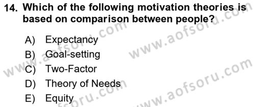 Organizational Behavior Dersi 2018 - 2019 Yılı (Vize) Ara Sınav Soruları 14. Soru