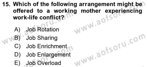 Organizational Behavior Dersi 2018 - 2019 Yılı (Vize) Ara Sınav Soruları 15. Soru