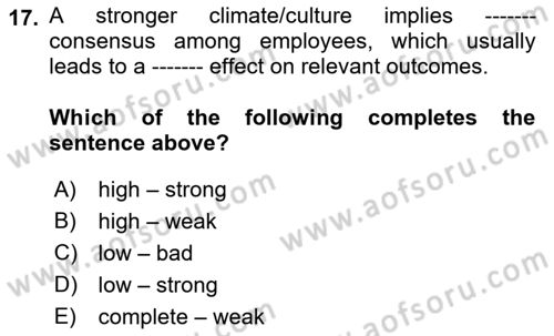 Organizational Behavior Dersi 2018 - 2019 Yılı (Vize) Ara Sınav Soruları 17. Soru