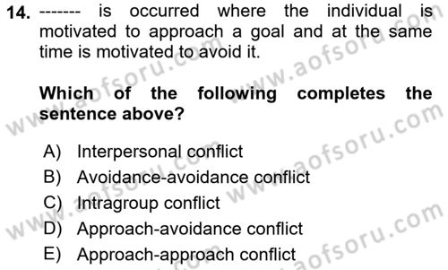 Organizational Behavior Dersi 2018 - 2019 Yılı (Final) Dönem Sonu Sınav Soruları 14. Soru