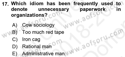 Organizational Behavior Dersi 2018 - 2019 Yılı (Final) Dönem Sonu Sınav Soruları 17. Soru